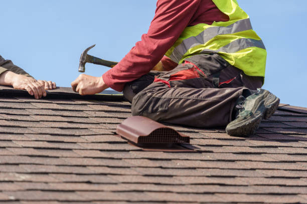 Best Best Roofing Contractors  in Young Harris, GA