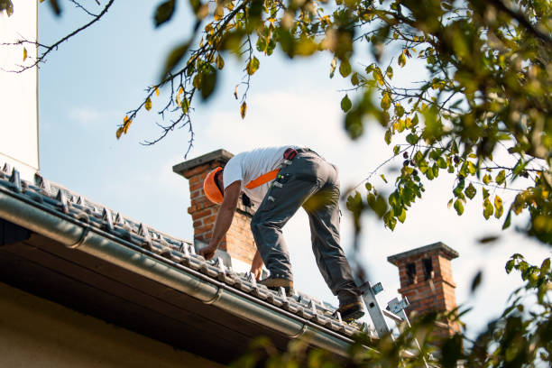 Best Local Roofing Companies  in Young Harris, GA
