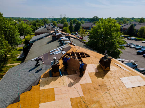 Best Flat Roof Repair Services  in Young Harris, GA
