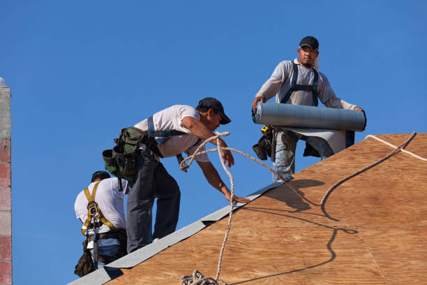 Best Roof Leak Repair  in Young Harris, GA