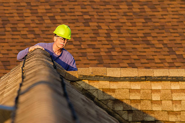 Best Roof Gutter Cleaning  in Young Harris, GA