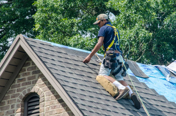 Best Shingle Roofing Installation  in Young Harris, GA